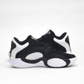 AIR JORDAN BASKET